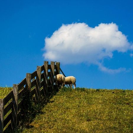 De Berin Daire Westhoek Dış mekan fotoğraf
