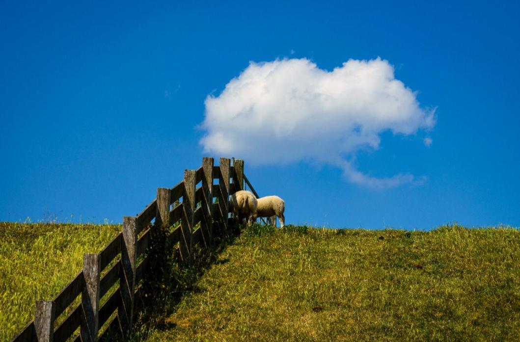 De Berin Daire Westhoek Dış mekan fotoğraf